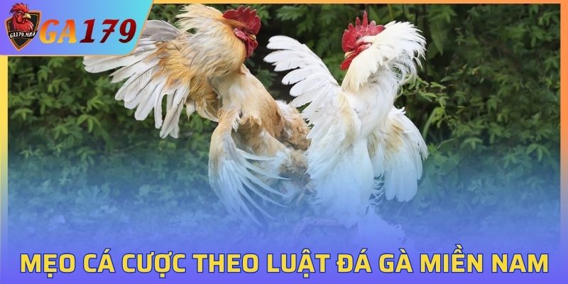 2 kinh nghiệm cá cược theo luật đá kê miền Nam