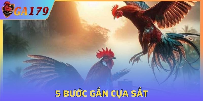 5 bước gắn cựa sắt