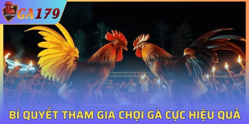 Bí quyết tham gia chọi gà cực hiệu quả