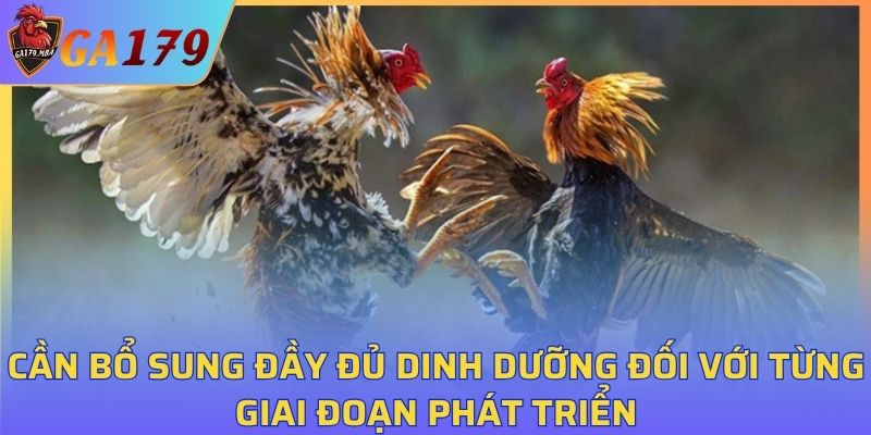 Cần bổ sung đầy đủ dinh dưỡng đối với từng giai đoạn phát triển