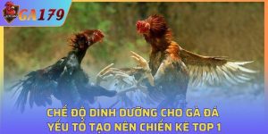 Chế Độ Dinh Dưỡng Cho Gà Đá