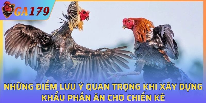 Những điểm lưu ý quan trọng khi xây dựng khẩu phần ăn cho chiến kê