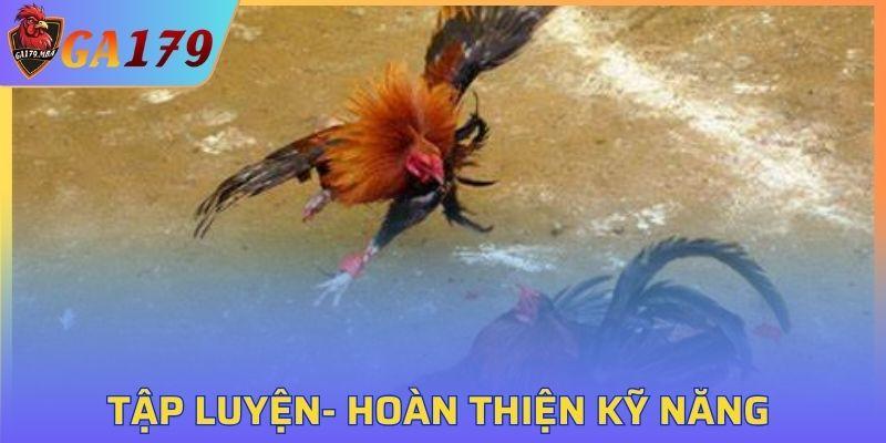 Bạn cần áp dụng các bài tập thực chiến thường xuyên