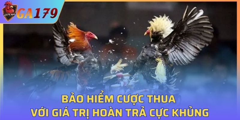 Bảo hiềm cược thua với giá trị hoàn trả cực khủng