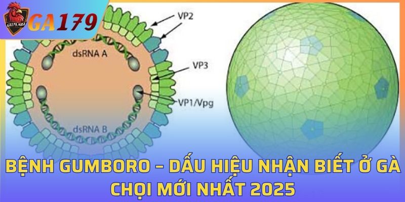 Bệnh Gumboro