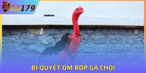 Bí Quyết Om Bóp Gà Chọi