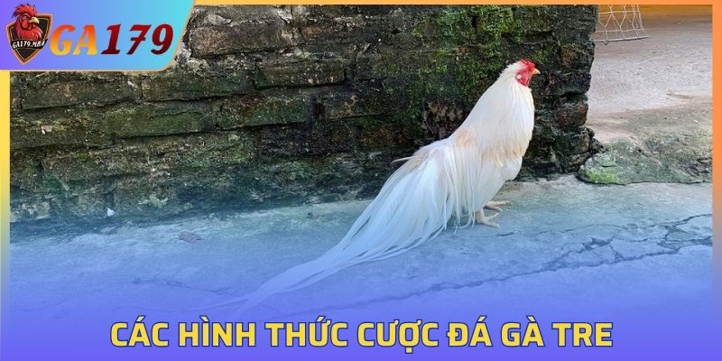 Các hình thức cược đá gà tại GA179
