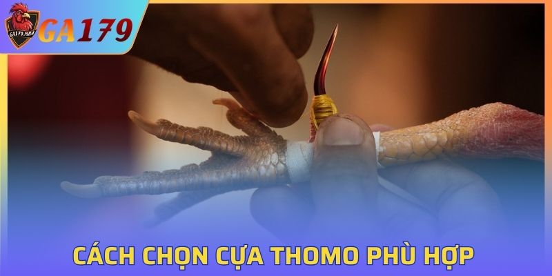 Cách chọn cựa Thomo phù hợp cho chiến binh