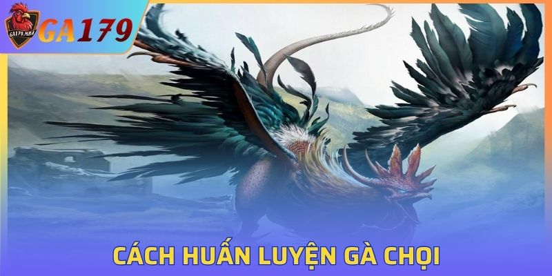 Cách Huấn Luyện Gà Chọi