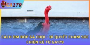 Cách Om Bóp Gà Chọi