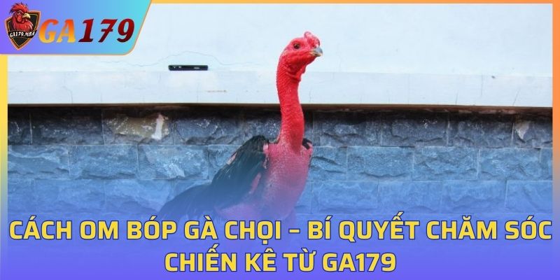 Cách Om Bóp Gà Chọi