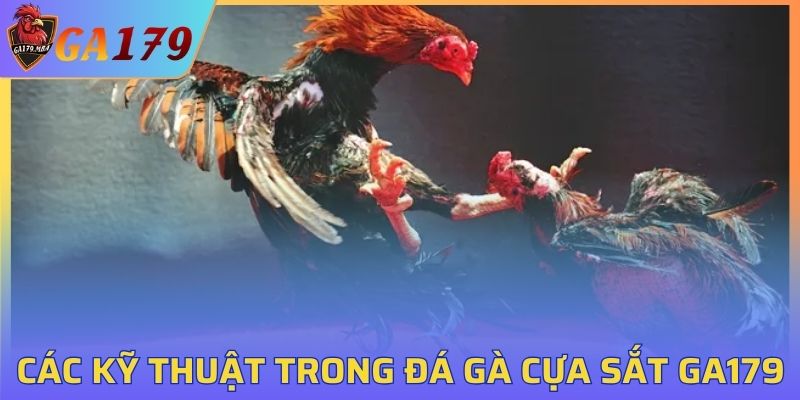 Chia sẻ các kỹ thuật trong đá gà cựa sắt GA179