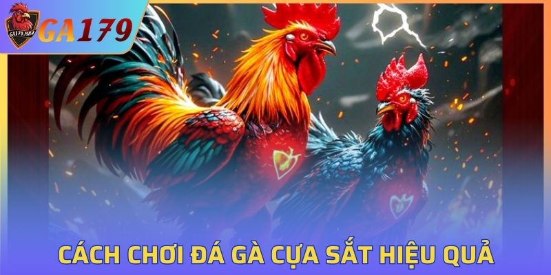 Chiến thuật chơi đá gà cựa sắt tối ưu