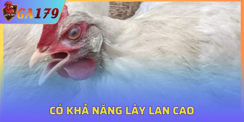 Có khả năng lây lan cao