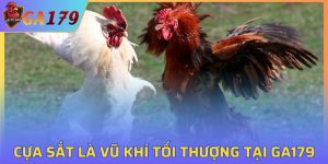 Cựa Sắt