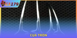 Cựa Tròn