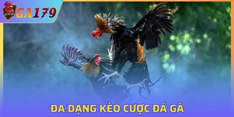 Đa dạng kèo cược đá gà