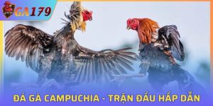Đá Gà Campuchia