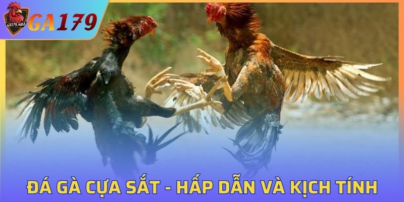 Đá Gà Cựa Sắt