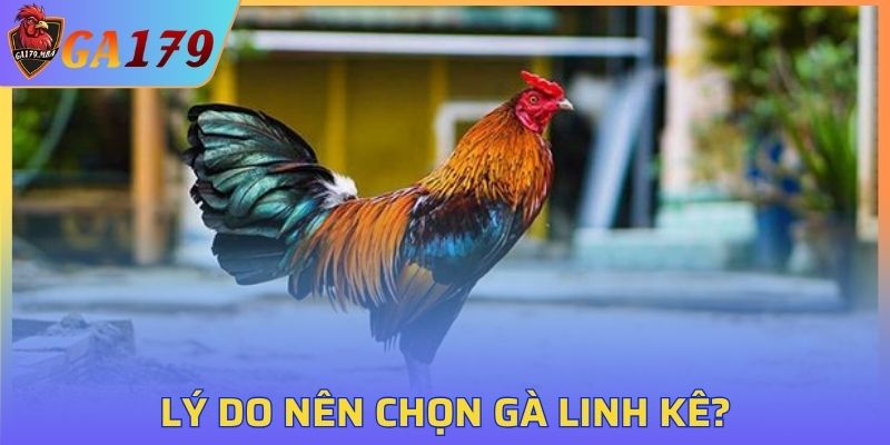Điều tuyệt vời mà GLK đem đến cho khách hàng