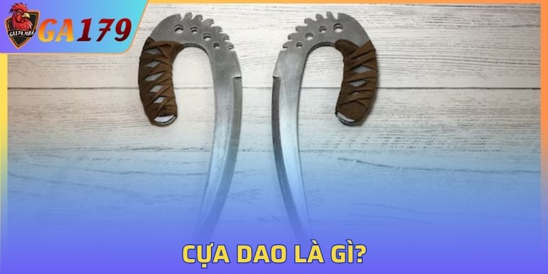Đôi nét về cựa dao