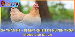 Gà Thần Kê