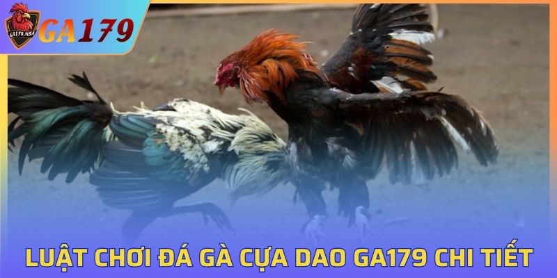 Khám phá luật chơi đá gà GA179 chi tiết cho người mới