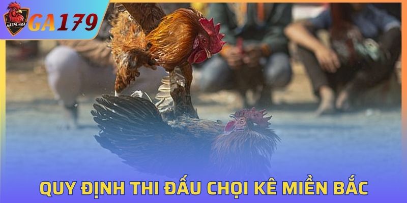 Khám phá quy tắc về thể thức thi đấu chọi kê