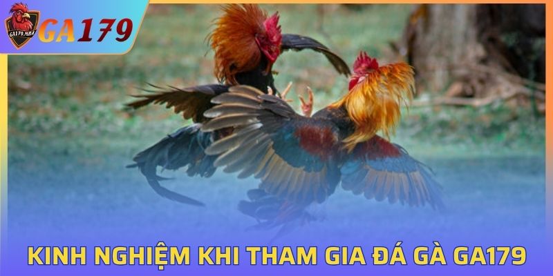 Kinh nghiệm khi tham gia đá gà GA179