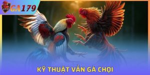 Kỹ Thuật Vần Gà Chọi