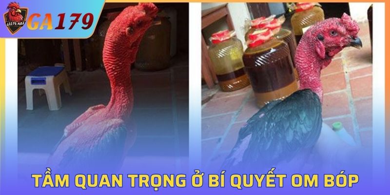 Lợi ích khi nắm giữ bí quyết om bóp gà chọi chuẩn