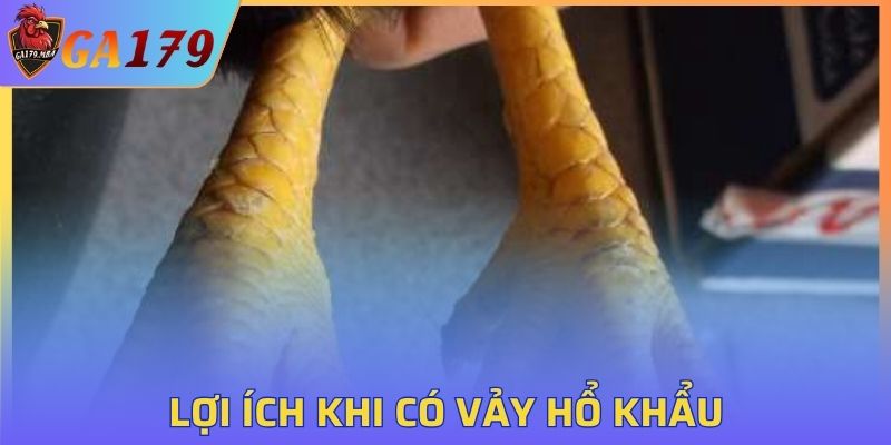 Lợi ích của Vảy Hổ Khẩu