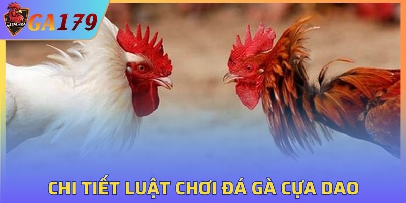 Luật chơi cơ bản của chọi kê cựa dao