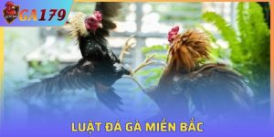 Luật Đá Gà Miền Bắc