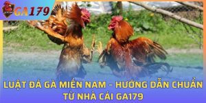 Luật Đá Gà Miền Nam