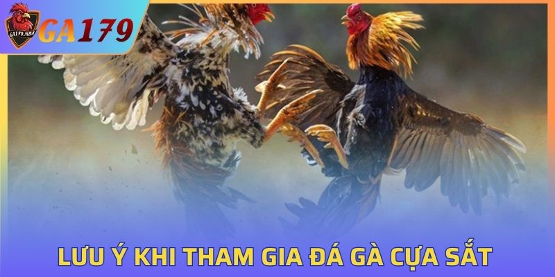 Lưu ý quan trọng khi tham gia đá gà tại GA179