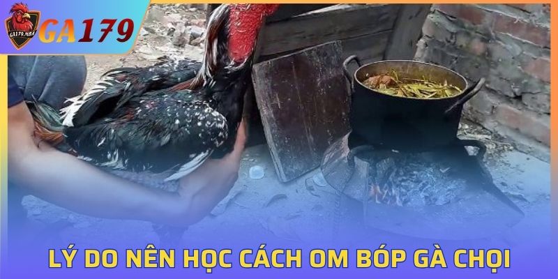 Lý do nên học cách om bóp gà chọi