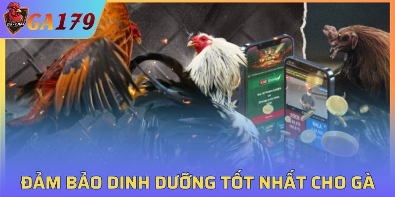 Nắm rõ các chế độ dinh dưỡng hợp lý