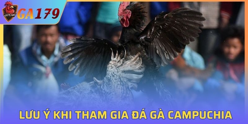Người chơi cần lưu ý gì khi tham gia đá gà tại GA179