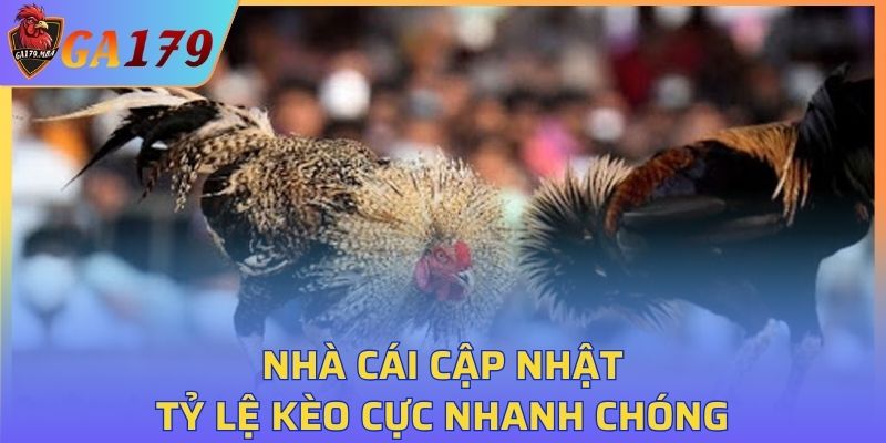 Nhà cái cập nhật, update tỷ lệ kèo cực nhanh chóng
