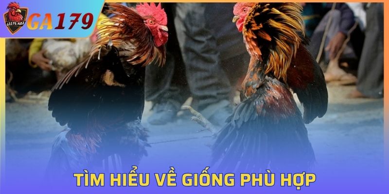Phương pháp lựa chọn giống hợp lý