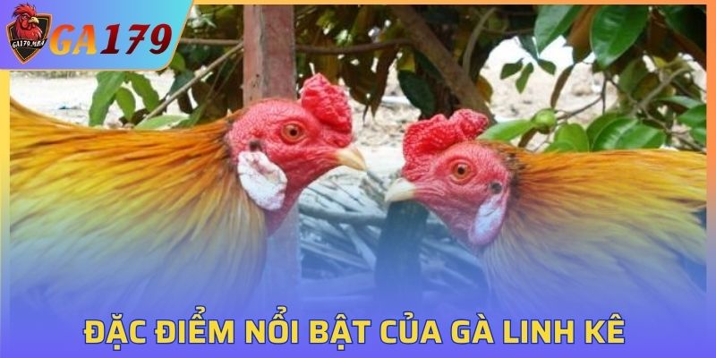 Sức mạnh dũng mãnh không thể cản phá của GLK