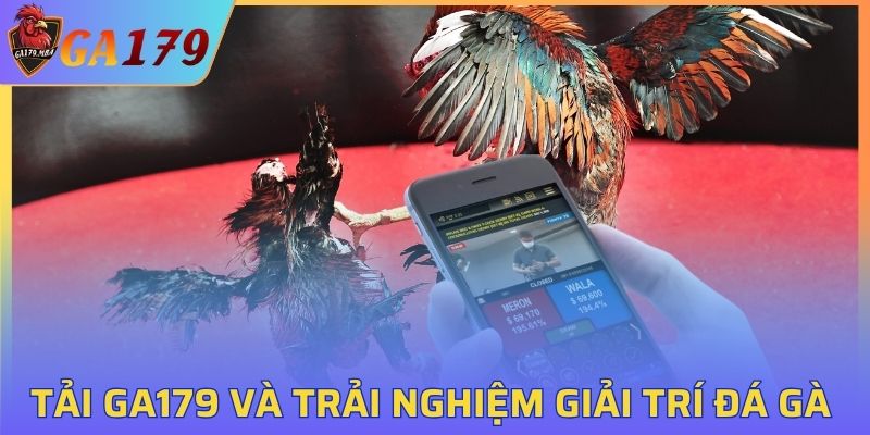 Tải GA179 và trải nghiệm giải trí đá gà ngay trên điện thoại cá nhân