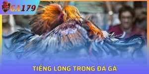 Tiếng Lóng Trong Đá Gà