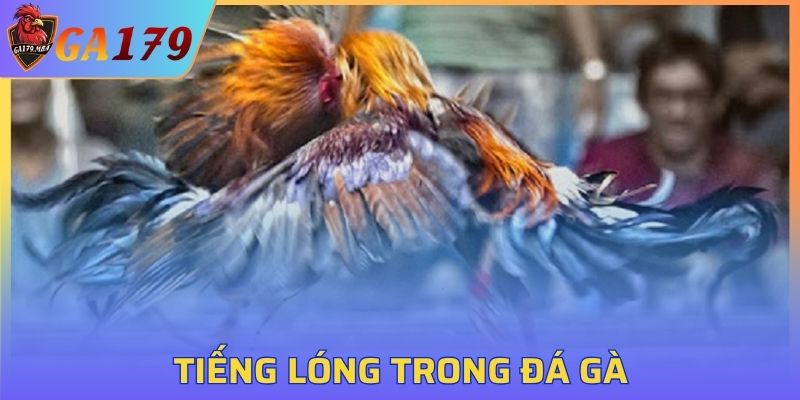 Tiếng Lóng Trong Đá Gà