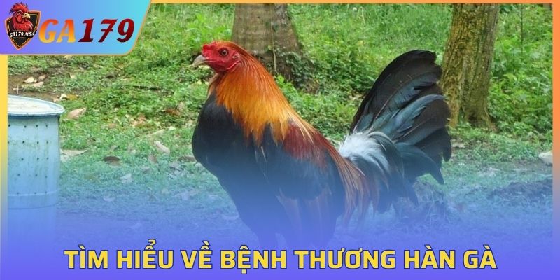 Tìm hiểu về bệnh thương hàn gà