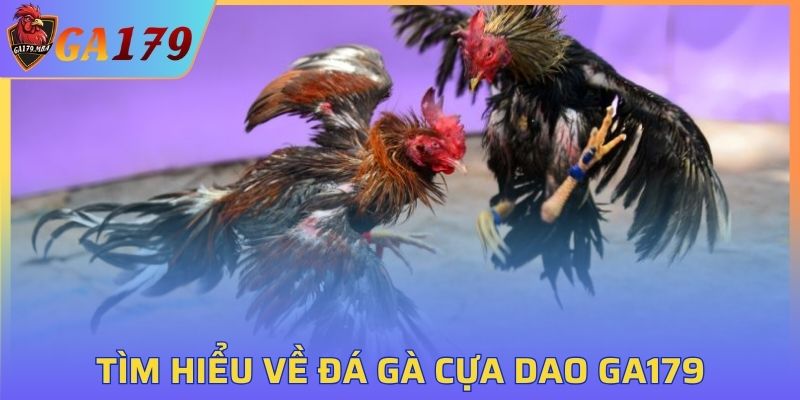 Tìm hiểu về đá gà cựa dao GA179
