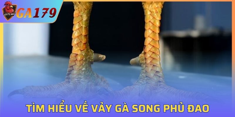 Tìm hiểu về vảy gà song phủ đao