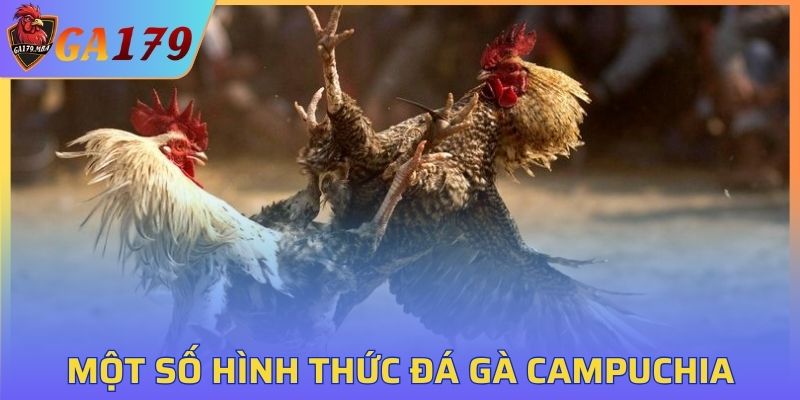 Tổng hợp các hình thức đá gà Campuchia hấp dẫn nhất