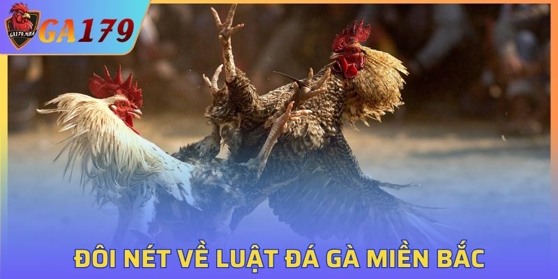 Tổng quan về luật đá gà miền Bắc hot hit